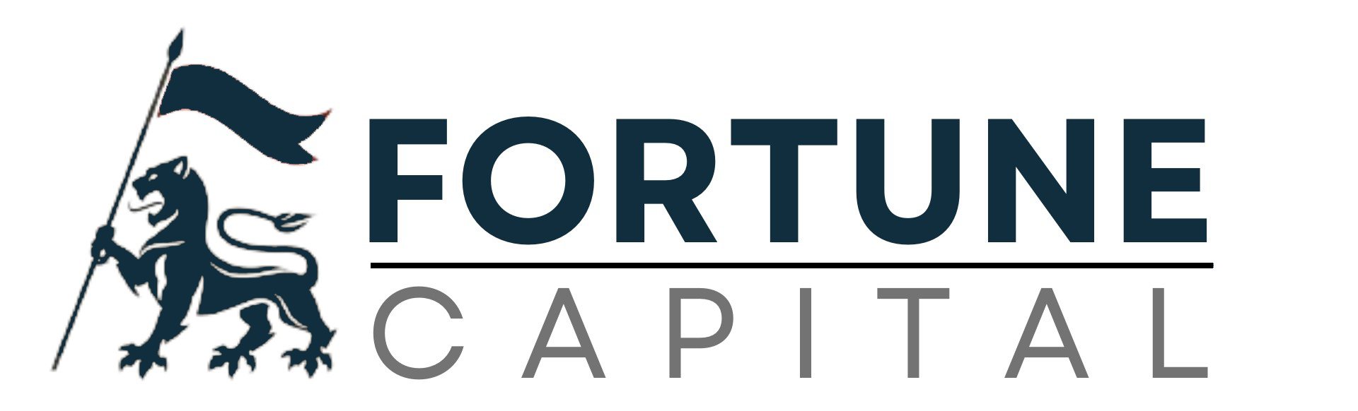 Fortune Capital